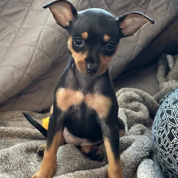 Meet your Posher, Heather - Picture 2 of 3